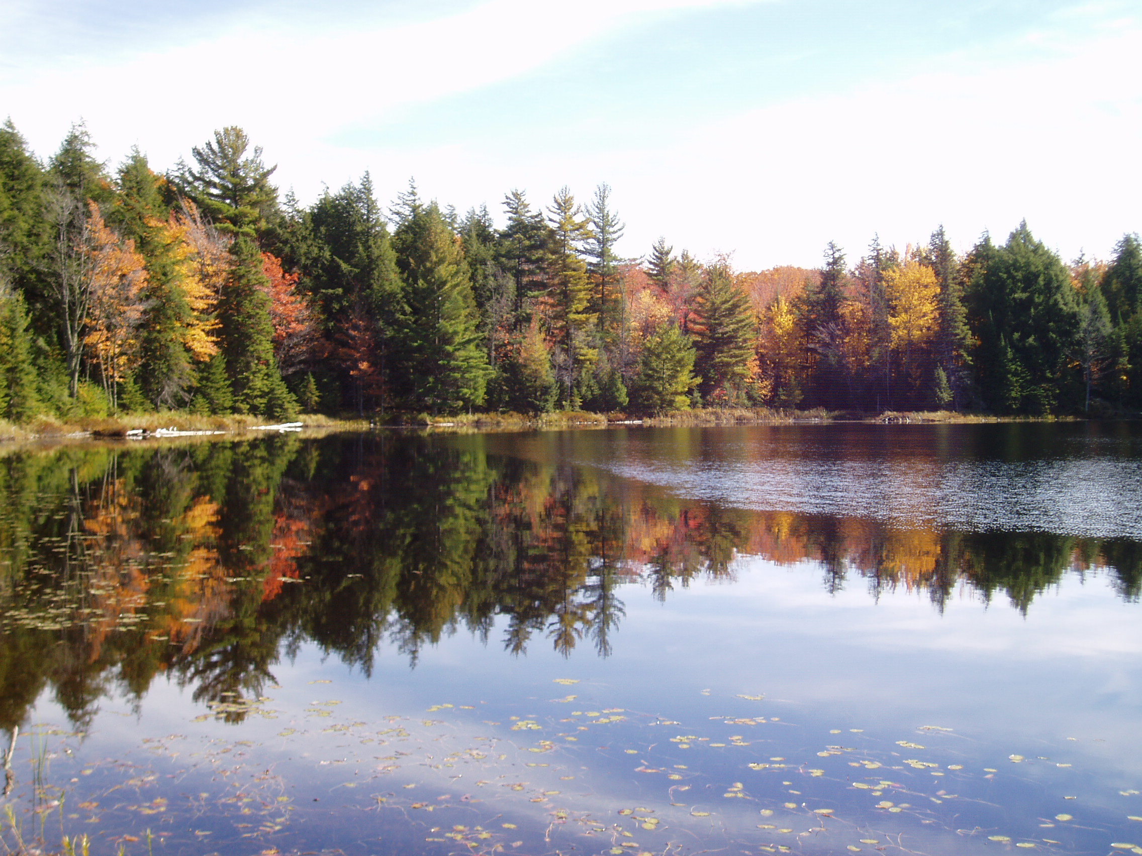 Lake in northern Wisconsin edged by a forest of fall colors.