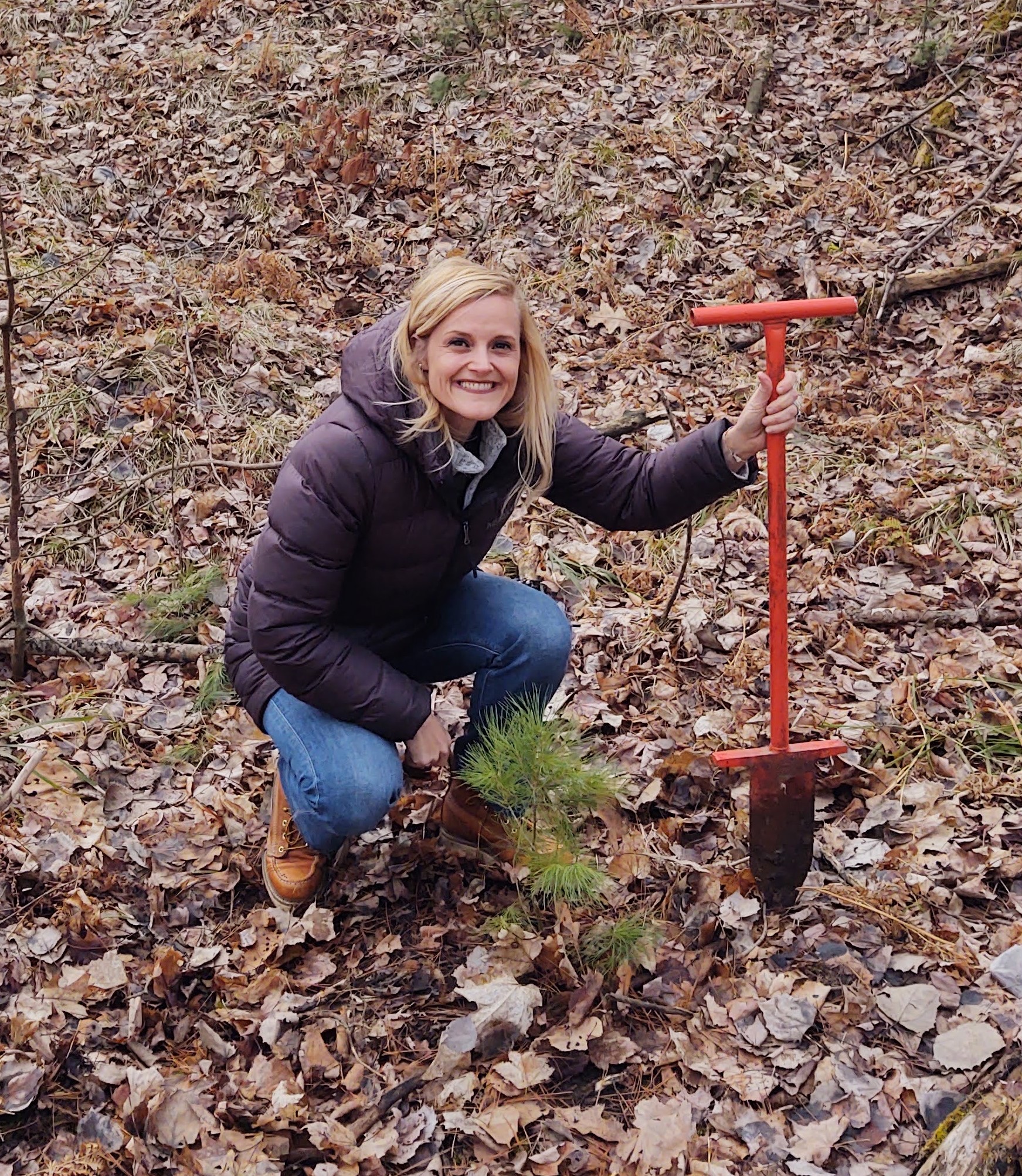 Sarah Godlewski preparing to plant a tree.