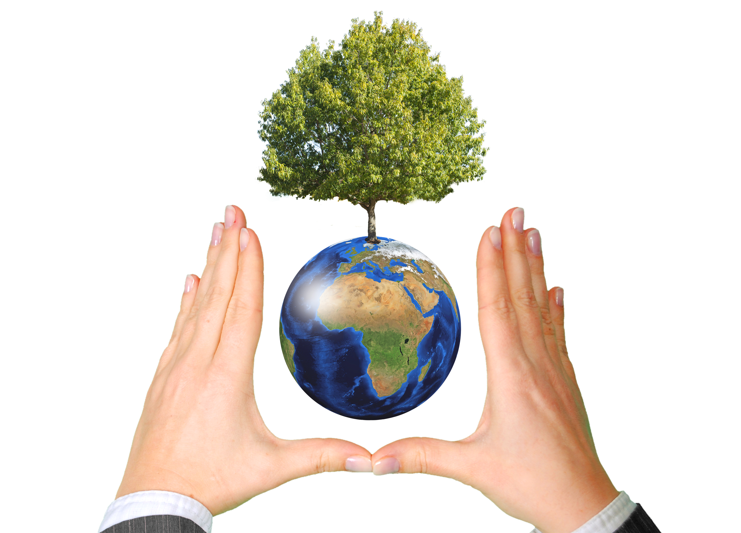 Two hands framing the Earth with a Tree growign out of the top