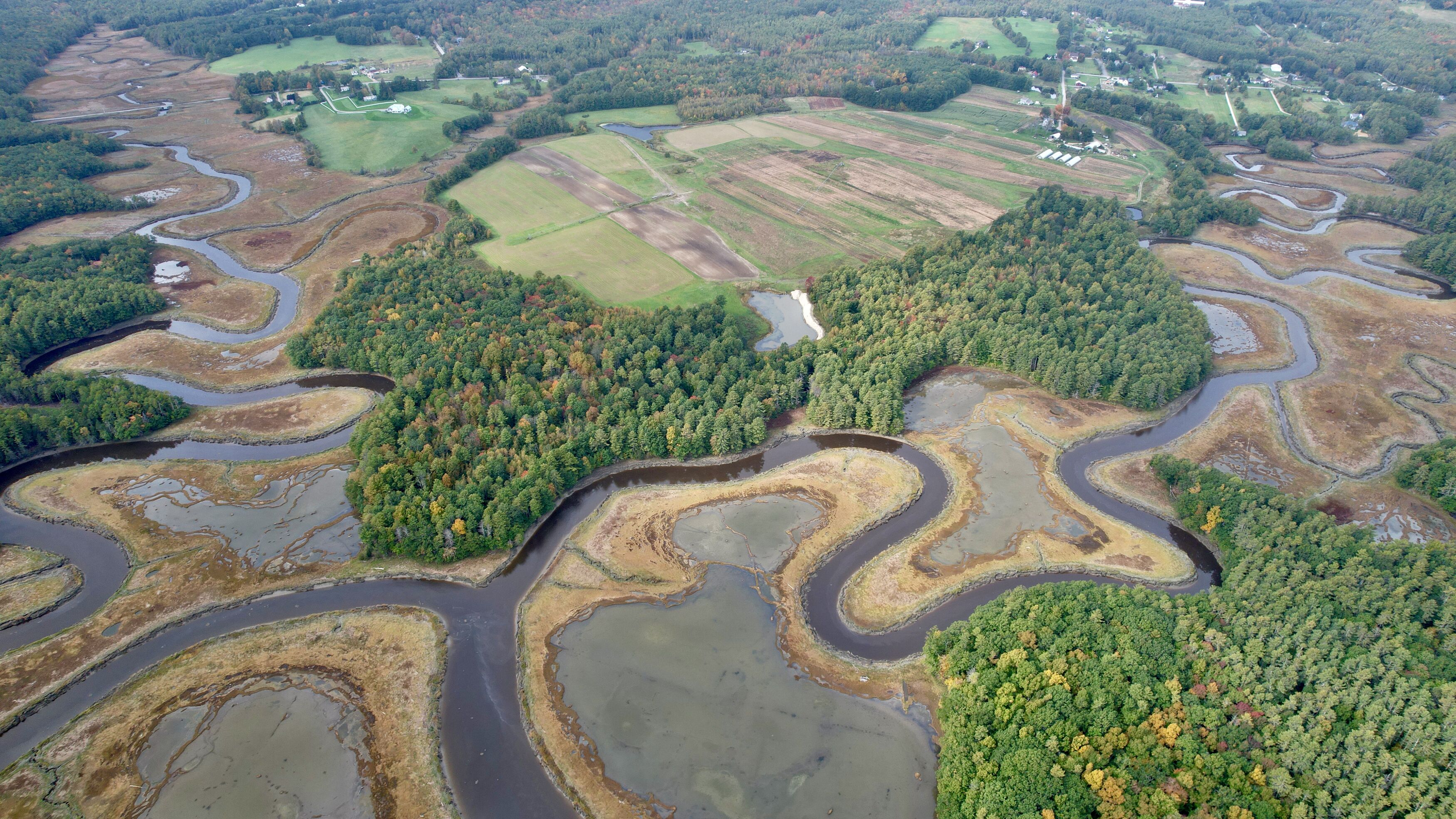 Winding River through Wetlands and Forest